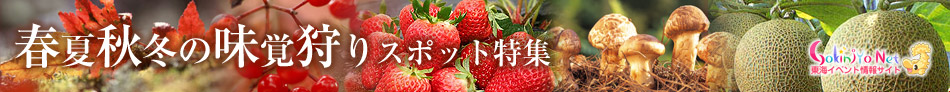 春夏秋冬の味覚狩りスポット情報in東海